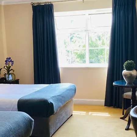 Twin Trees بالينا