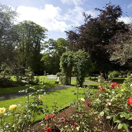 酒店 Twin Trees 3*