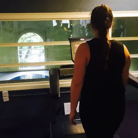 Twin Trees بالينا