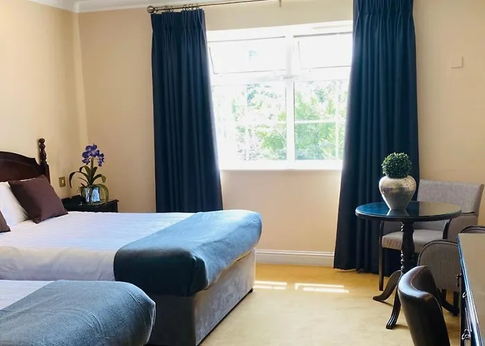 Twin Trees בלינה