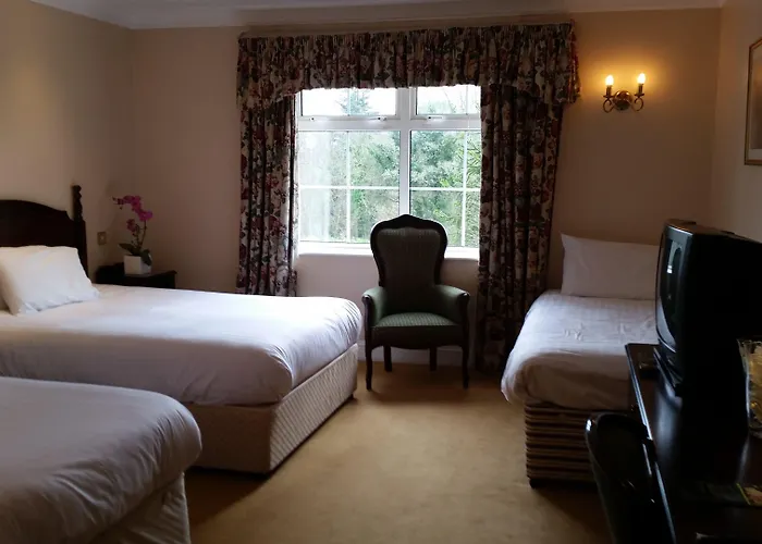 ホテル Twin Trees 3*