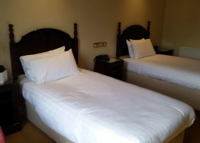 Twin Trees ホテル 3*